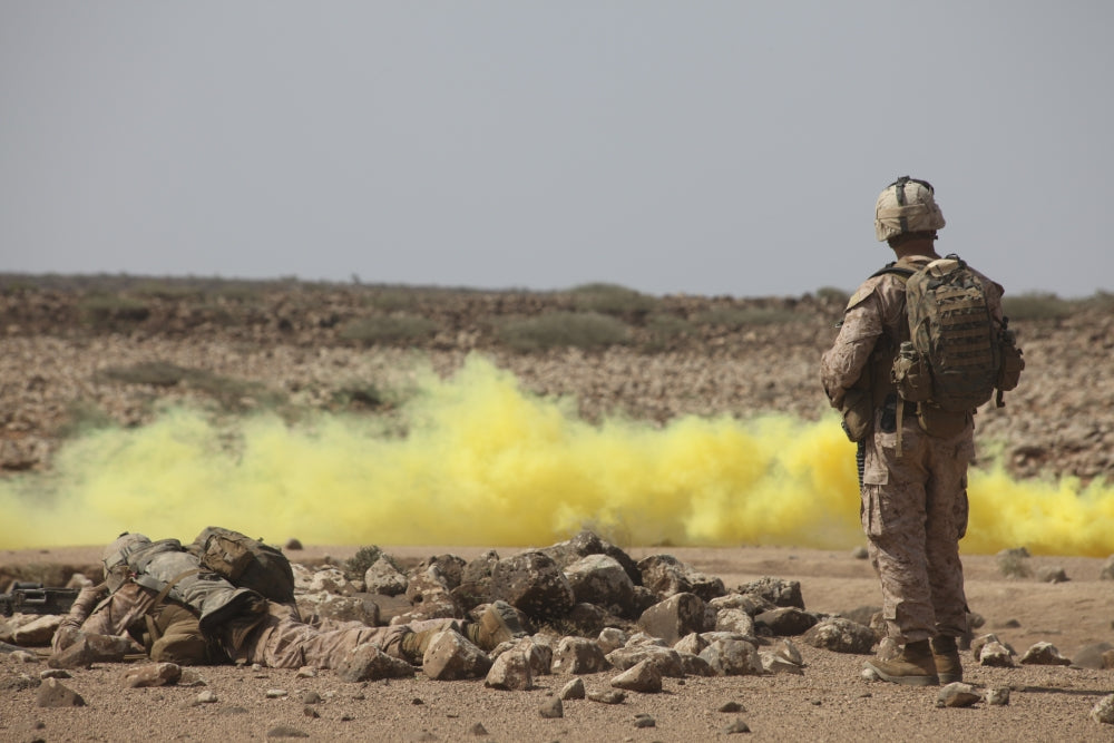 September 24, 2010 Tactical Recovery of Aircraft and Personnel Poster Print showing Marines in action.