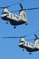 US Marine Corps CH-46E Sea Knight helicopters in flight poster print.