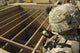 U.S. Army soldier taking GPS reading at water treatment plant in Iraq poster print.
