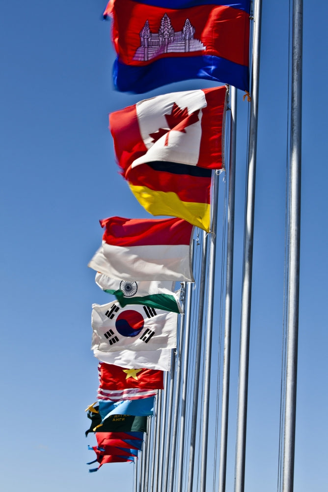 Khaan Quest 2011 Exercise Flags Poster Print showcasing flags of participating countries.