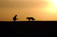 Military working dog and handler poster print by Stocktrek Images.