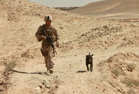 Explosives Detection Dog Patrol Poster Print by Stocktrek Images