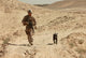 Explosives Detection Dog Patrol Poster Print by Stocktrek Images