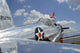 BT-13 Valiant Trainer Aircraft Poster Print featuring American Flag.