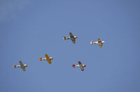 Vintage Warbirds Flying in Formation Poster Print showcasing restored aircraft near Lakeland, Florida.