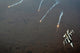 F-16 Fighting Falcon jet poster print releasing flares over Iraq.