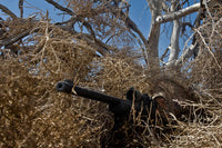 Soldier demonstrating camouflaged ghillie suit blending into surroundings poster print.