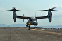 Aviation Boatswain's Mate signals an MV-22 Osprey during takeoff poster print