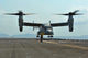 Aviation Boatswain's Mate signals an MV-22 Osprey during takeoff poster print