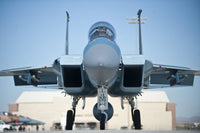 U.S. Air Force F-15D Eagle taxiing at Nellis Air Force Base poster print.