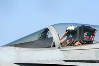 F/A-18C Hornet Pilot Saluting Poster Print by Stocktrek Images