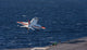 US Navy T-45C Goshawk performing a touch-and-go landing poster print.