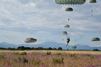 US Army paratroopers descending to drop zone in France poster print.
