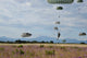 US Army paratroopers descending to drop zone in France poster print.