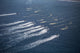 Republic of Korea Amphibious Assault Vehicles Poster Print showcasing military precision.