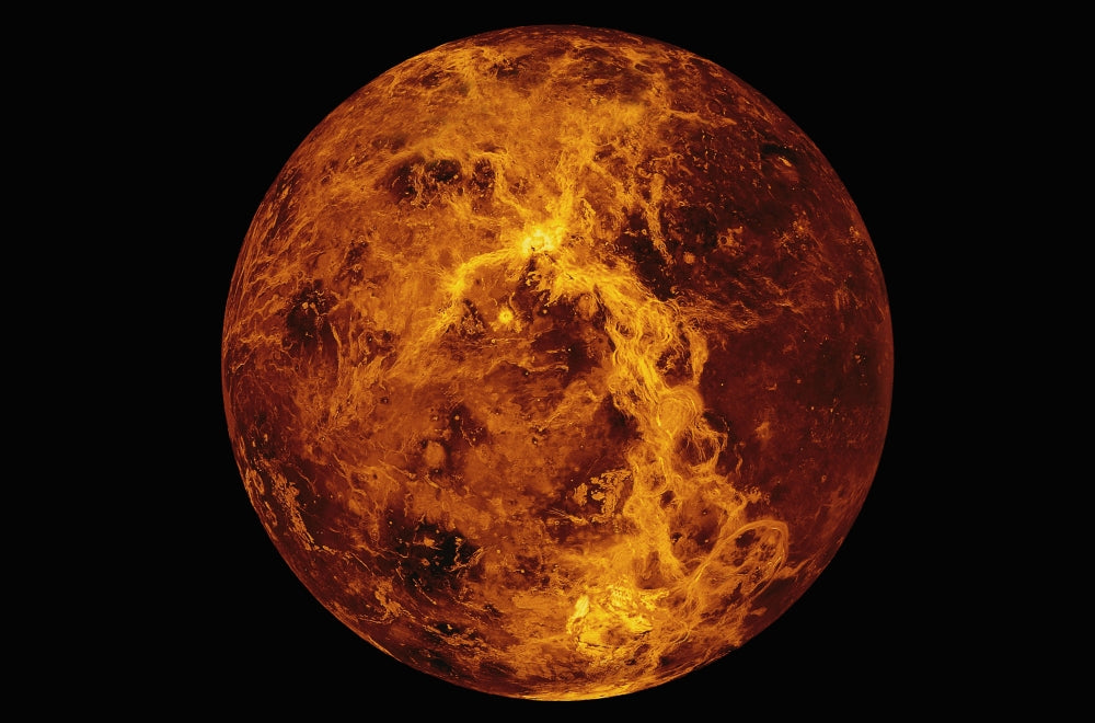 Venus Poster Print showcasing stunning artwork.