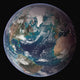 Earth Global Data Poster Print showing land surface, polar sea ice, and chlorophyll