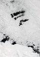 Balleny Islands Poster Print showcasing stunning Antarctic landscapes.