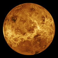 Global view of the surface of Venus poster print showing detailed topography.
