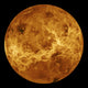 Global view of the surface of Venus poster print showing detailed topography.