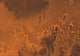 Oxia Palus region of Mars poster print featuring vibrant Martian landscape.