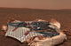Mars Rover's Landing Site at Columbia Memorial Station Poster Print