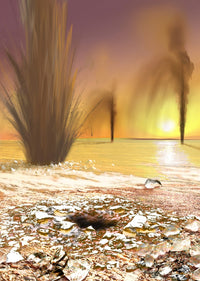 Martian South Polar Ice Cap Poster Print with sand-laden jets