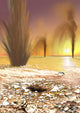 Martian South Polar Ice Cap Poster Print with sand-laden jets