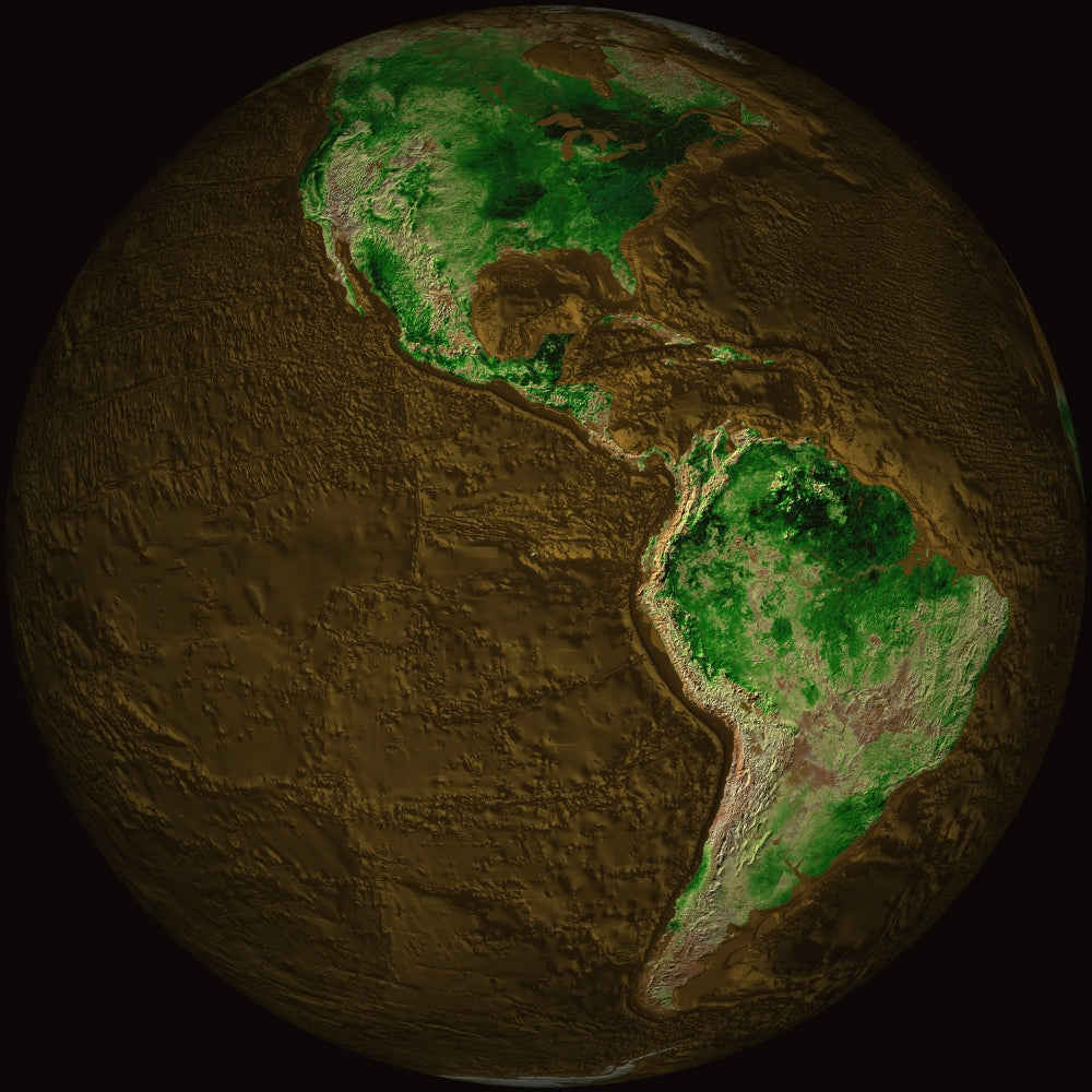 Topographic Map of Earth Poster Print showing detailed elevations and terrains.