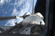 Space Shuttle Discovery Poster Print with Earth's horizon as backdrop.