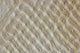 Sand dunes in the Fachi-Bilma Erg fine art poster print