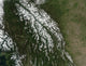 View of the Rocky Mountains Poster Print showcasing scenic landscape art.