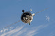 Soyuz TMA-01M Spacecraft Poster Print by Stocktrek Images