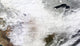 February 2, 2011 Snow Coverage poster print showing winter landscape.