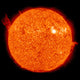 Solar Activity on the Sun Poster Print showcasing vibrant solar flares.