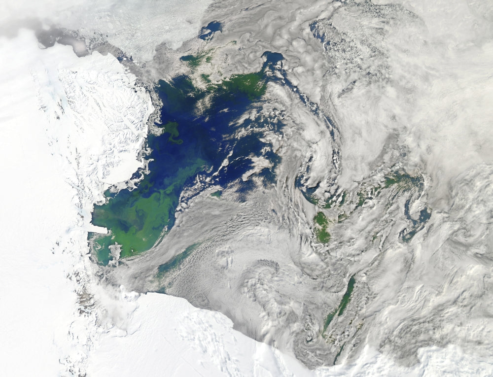 Satellite view of the Ross Sea showing phytoplankton bloom.