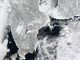 Satellite view of sea ice along the coasts of Sweden and Finland poster print.