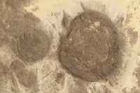 Satellite view of round domes in the Air Mountains, Sahara Desert poster print.