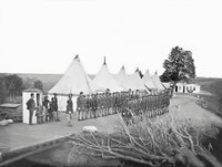 Infantry Company on Parade during the American Civil War Poster Print