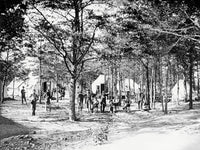 Military camp set up in the woods during the American Civil War poster print.
