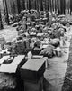 Rations being loaded into trucks during Louisiana Maneuvers circa 1942 poster print