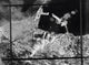 Aerial photograph of bombing hits on a pierhead in Sousse, Tunisia, circa 1943.