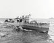 USS Bernadou at sea during North African invasion, 1942 poster print.
