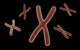 Conceptual Image of Chromosome Poster Print showcasing genetic structure.