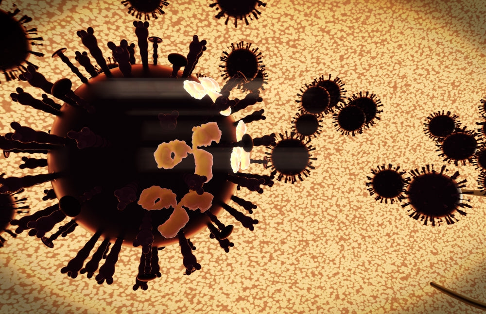 H5N1 Avian Flu Virus Antibody Attack Poster Print, showcasing a swarm of viruses and antibodies.
