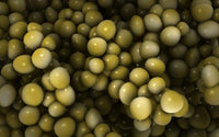 Microscopic View of Staphylococcus Poster Print showcasing detailed bacteria imagery.