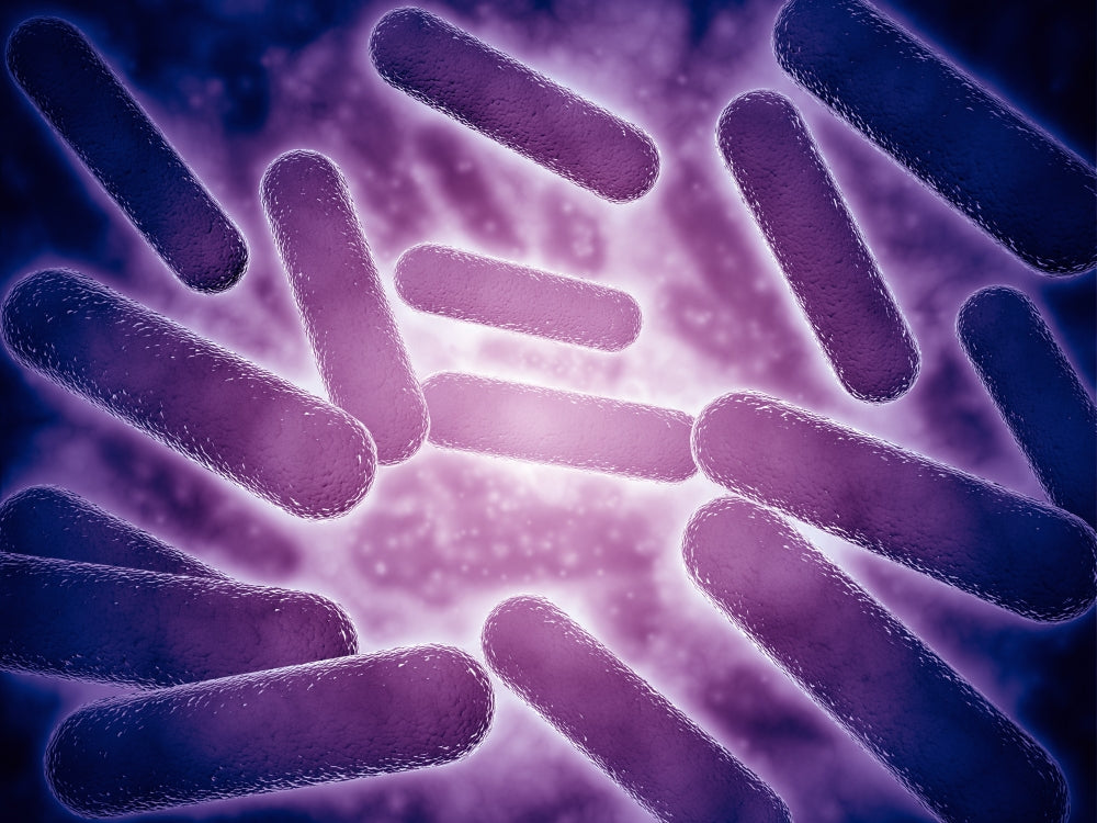 Conceptual Image of Cellulose Nanorods Poster Print