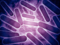 Conceptual Image of Cellulose Nanorods Poster Print