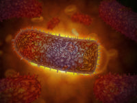 Stylized rabies virus particles poster print, colorful scientific art.