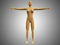 Anatomy of Female Body with Nervous System Poster Print